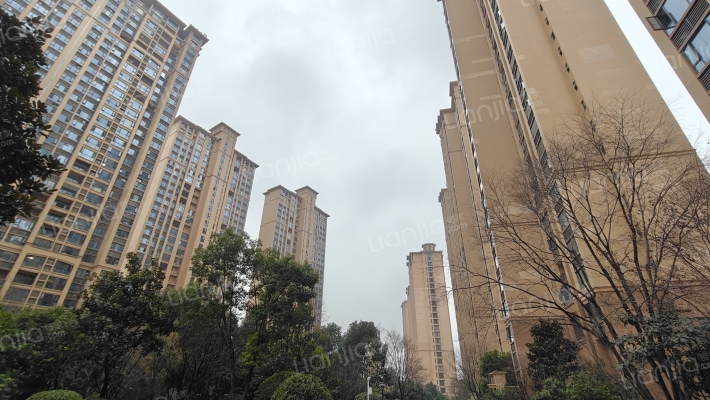 雅居乐十里花巷外景图