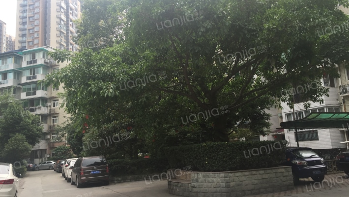 和平小区外景图