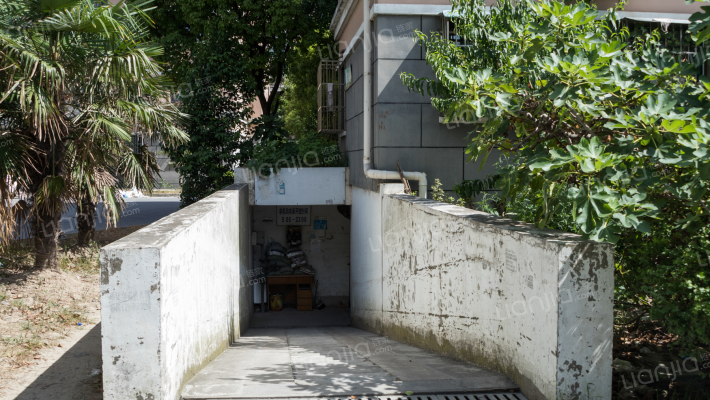 大黄馨园外景图