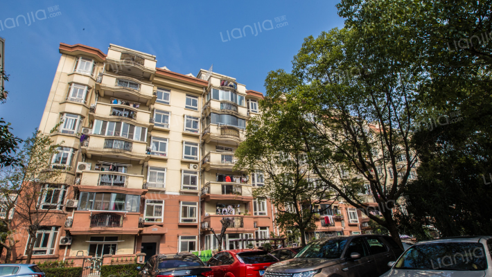 黎明清境外景图