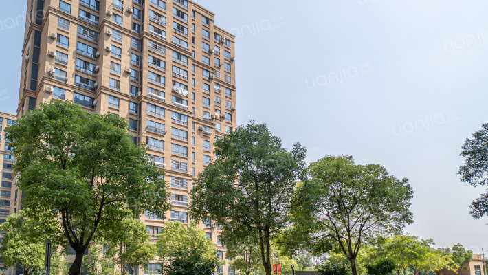 龙游河花苑外景图