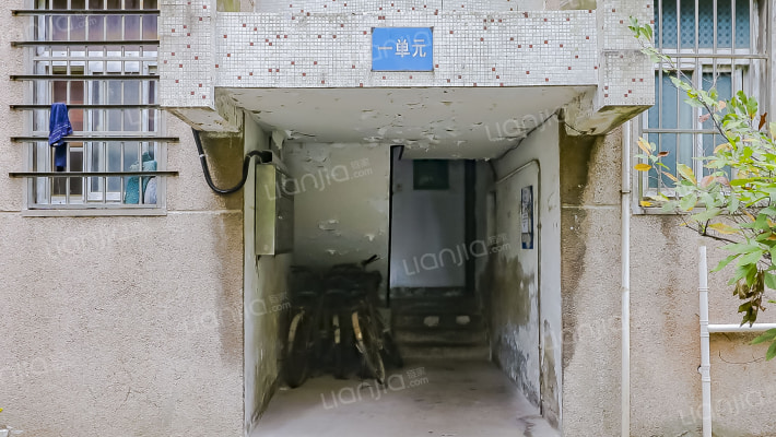 扬子十二村外景图