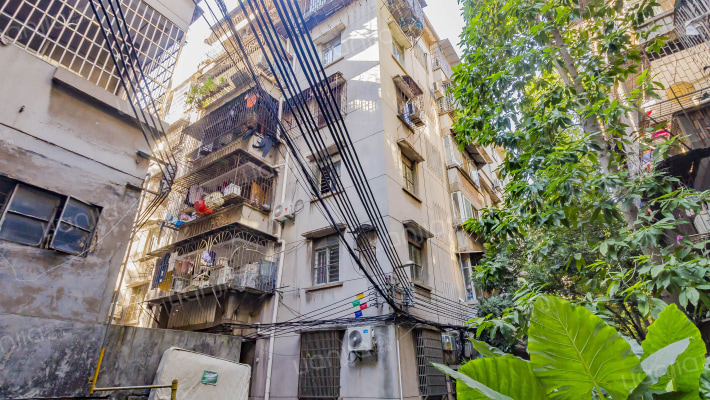 走马岗海关大院外景图