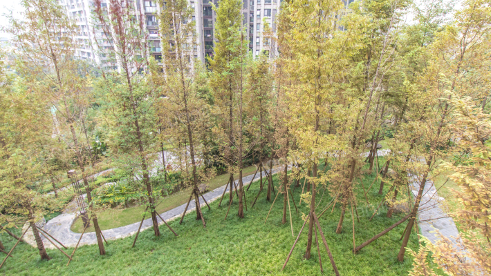 国奥村时光漫外景图