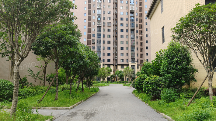 中安善化国际外景图