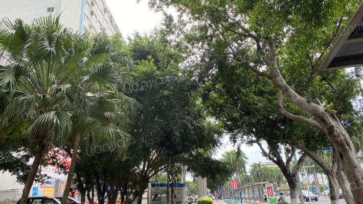 海富大厦外景图