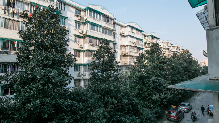 金田花园外景图