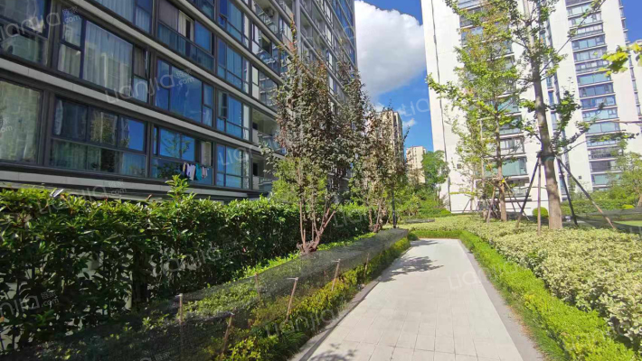 中交理想时代芳华外景图