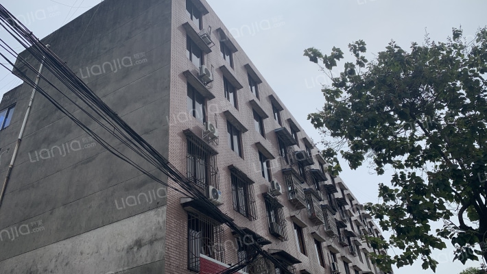 绣城路北段85号外景图