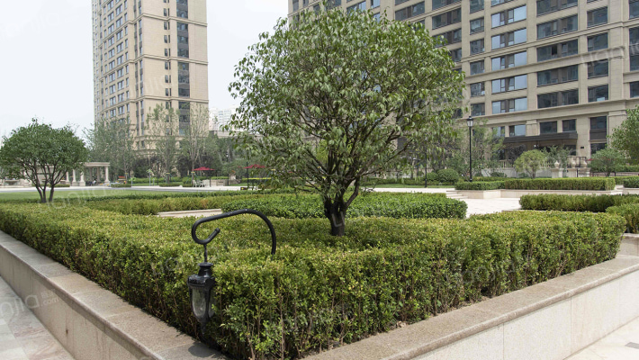 润景园著外景图