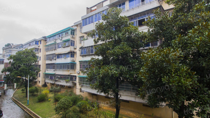 排岭区银岭村外景图