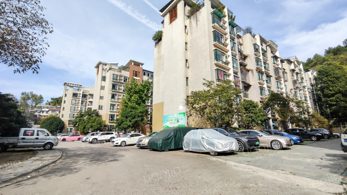 金世旗楠苑外景图