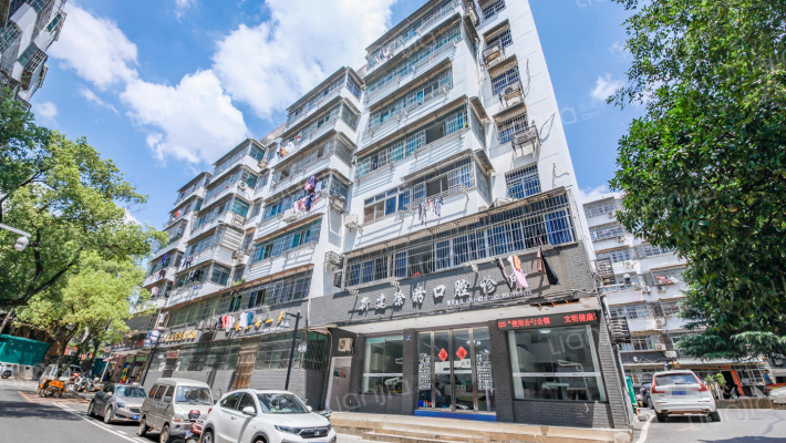 新建丁子岭外景图