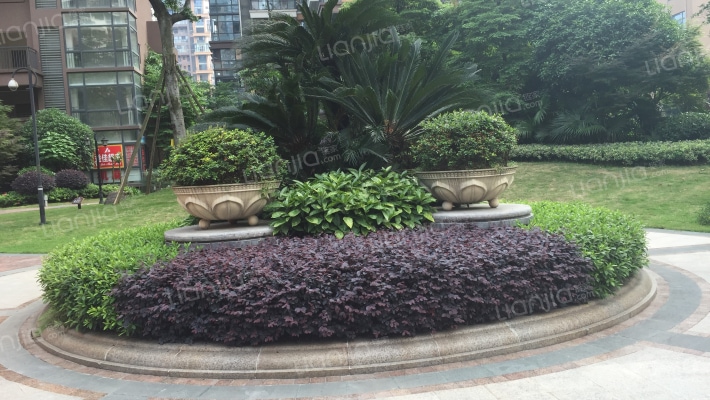 海骏达蜀都1号一期南区外景图