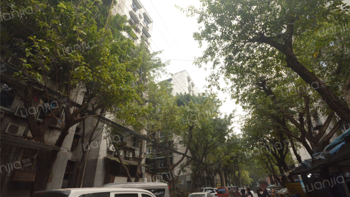 民主二村(杨家坪)外景图