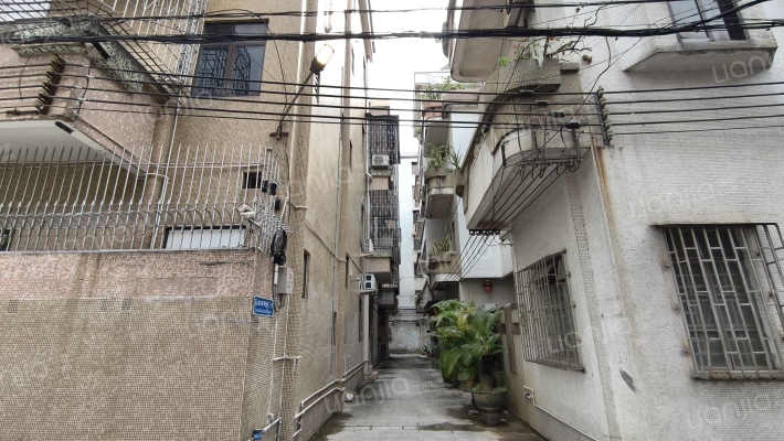 石龙东兴街三巷外景图