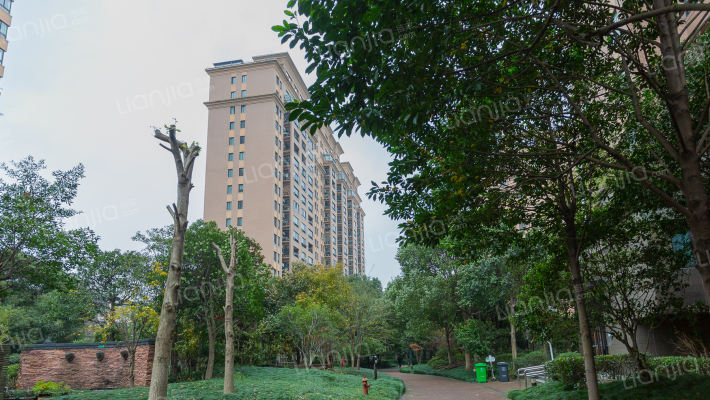 滨江豪园外景图