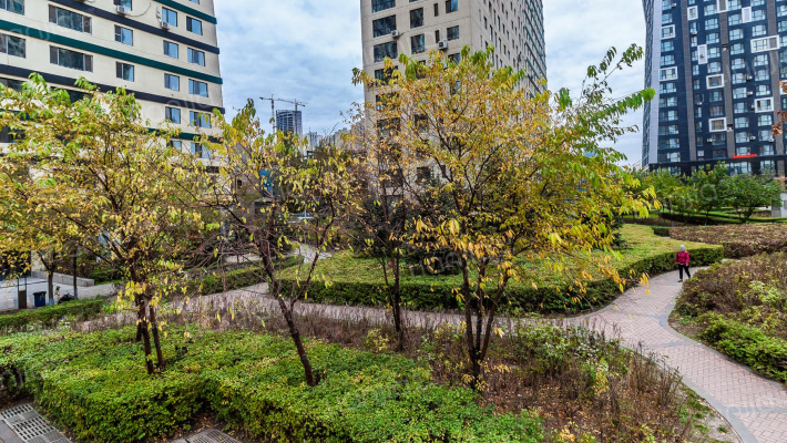 盟科视界外景图