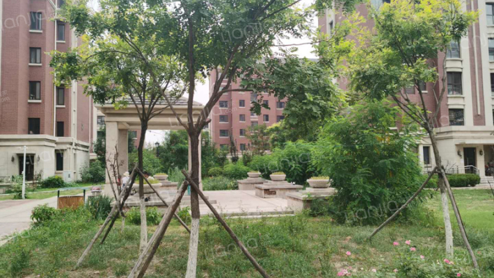 滨江国际外景图