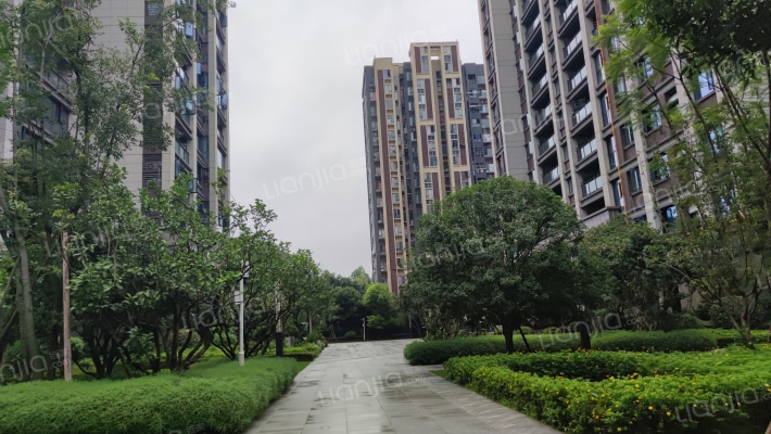 梧桐博园外景图