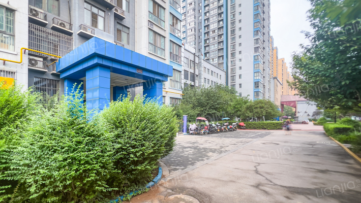 东尚蜂鸟外景图