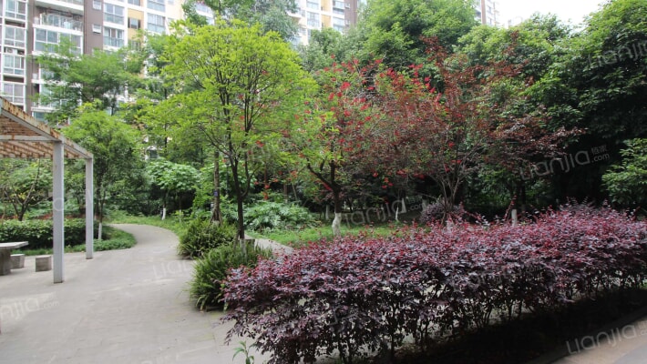 金牛花园外景图