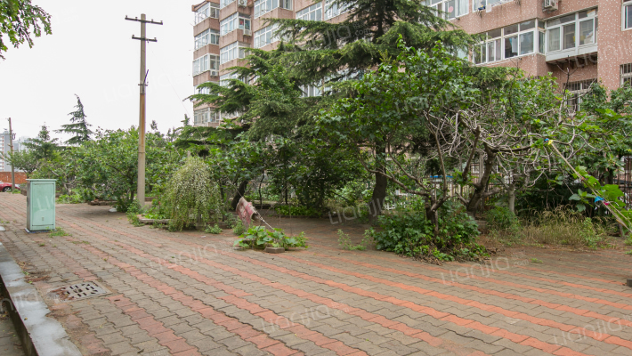 金星花园外景图