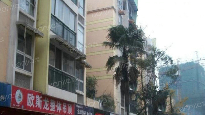 四季花乡外景图