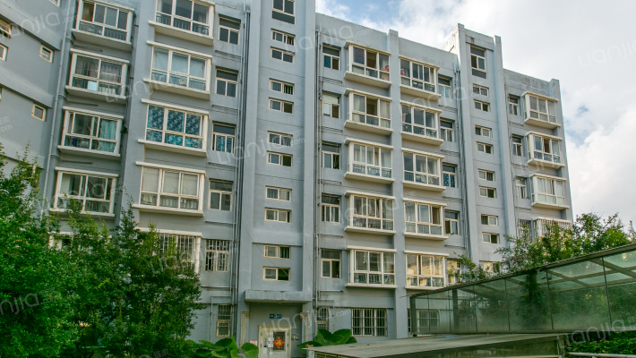 春雨阳光外景图