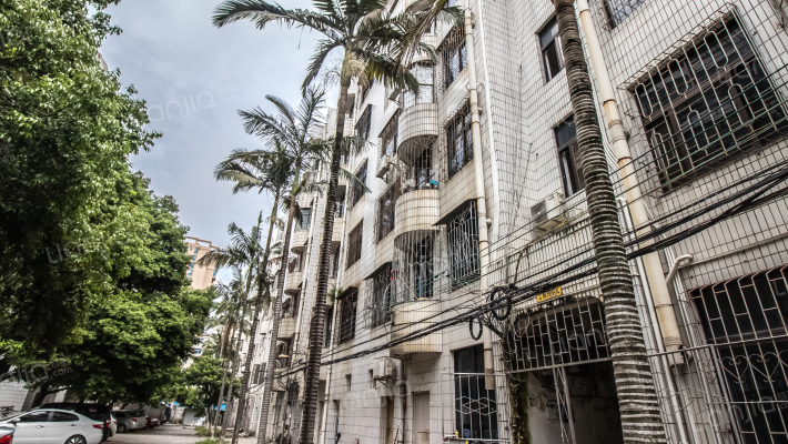 国税局宿舍外景图