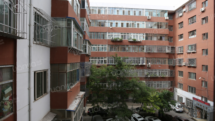 新津小区东院外景图