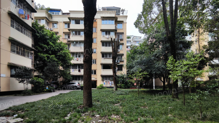 康达园B区外景图