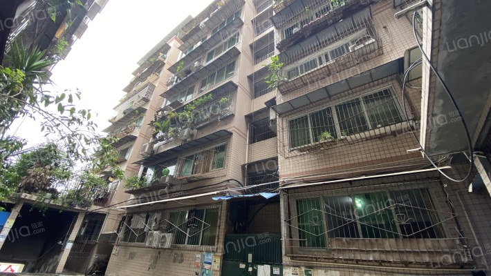 新民街南段162号外景图