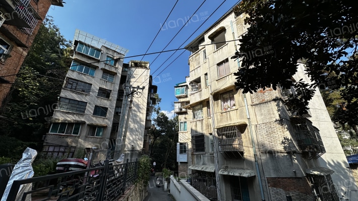 松山村园林局外景图