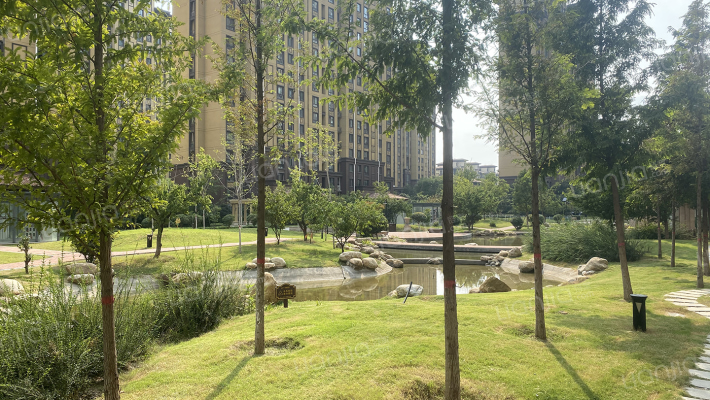 清华大溪地外景图