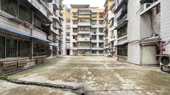 东风村41号外景图