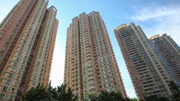 新安湖花园外景图