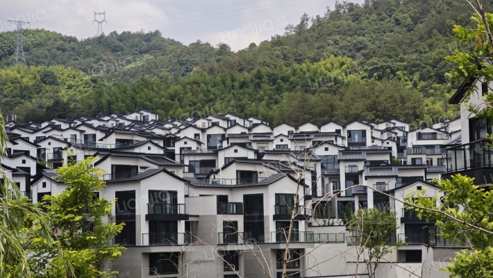 同人山庄外景图