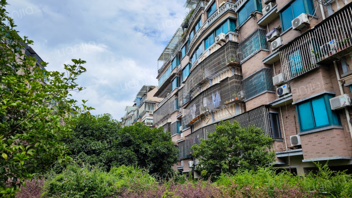 龙凤花苑外景图