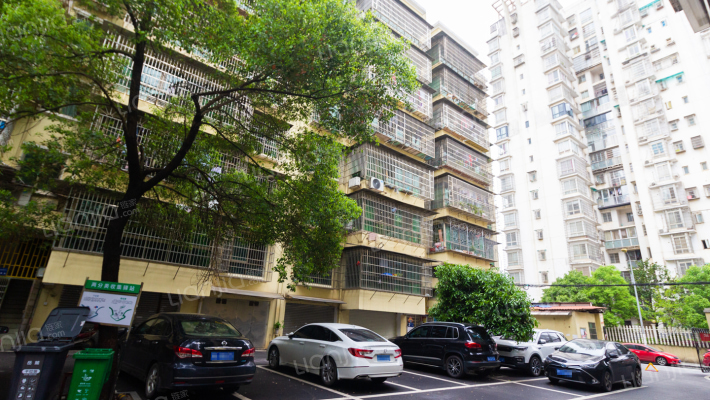 红叶公寓小区外景图