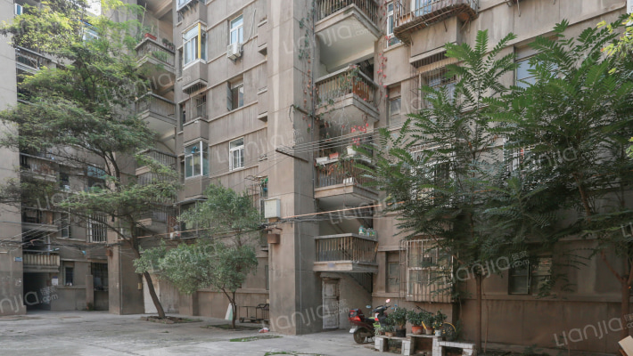 轻工厅家属院外景图