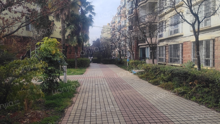 东方玫瑰园外景图