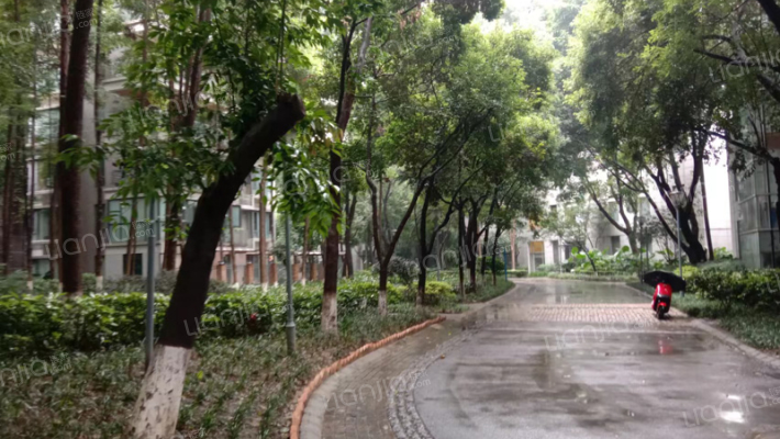 优品道一期外景图