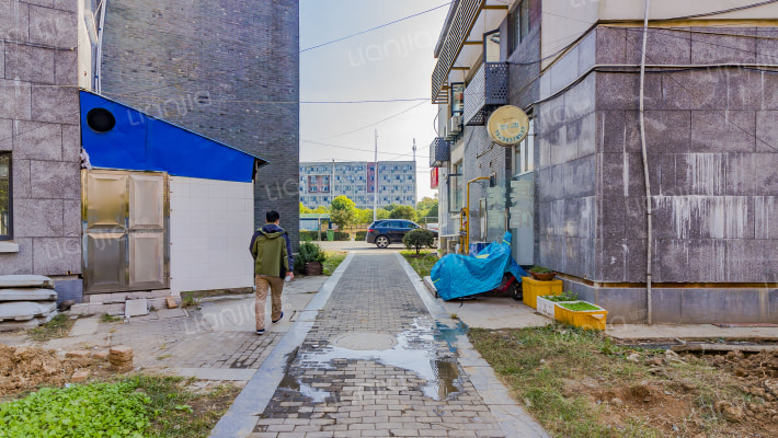 中南棉花塘外景图