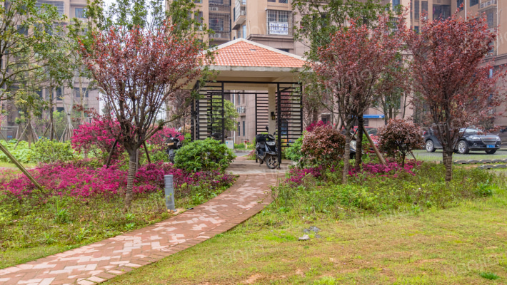 美往天悦和苑外景图