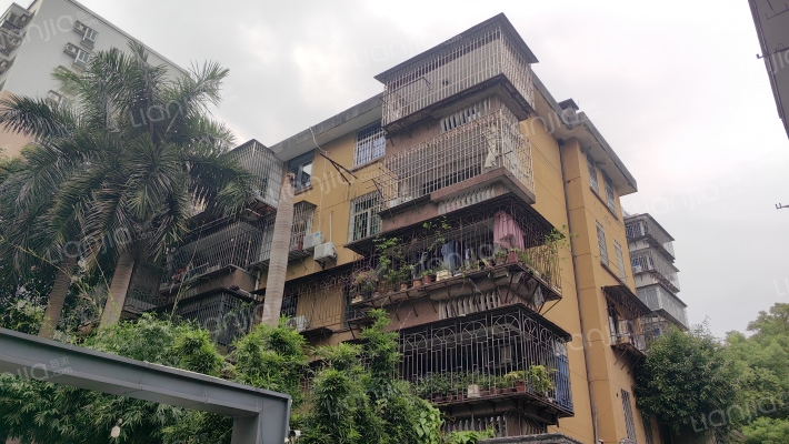 交通厅宿舍(新民路)外景图