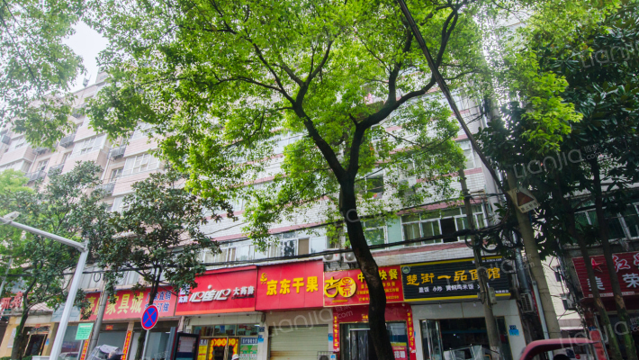 文兴路5号外景图