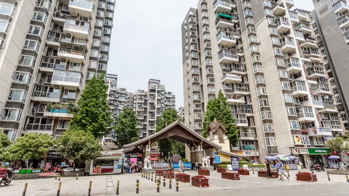 蓝光富丽花城外景图