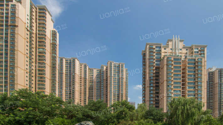 金河丽园外景图