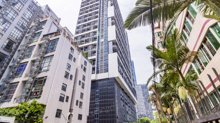 光耀橙子外景图